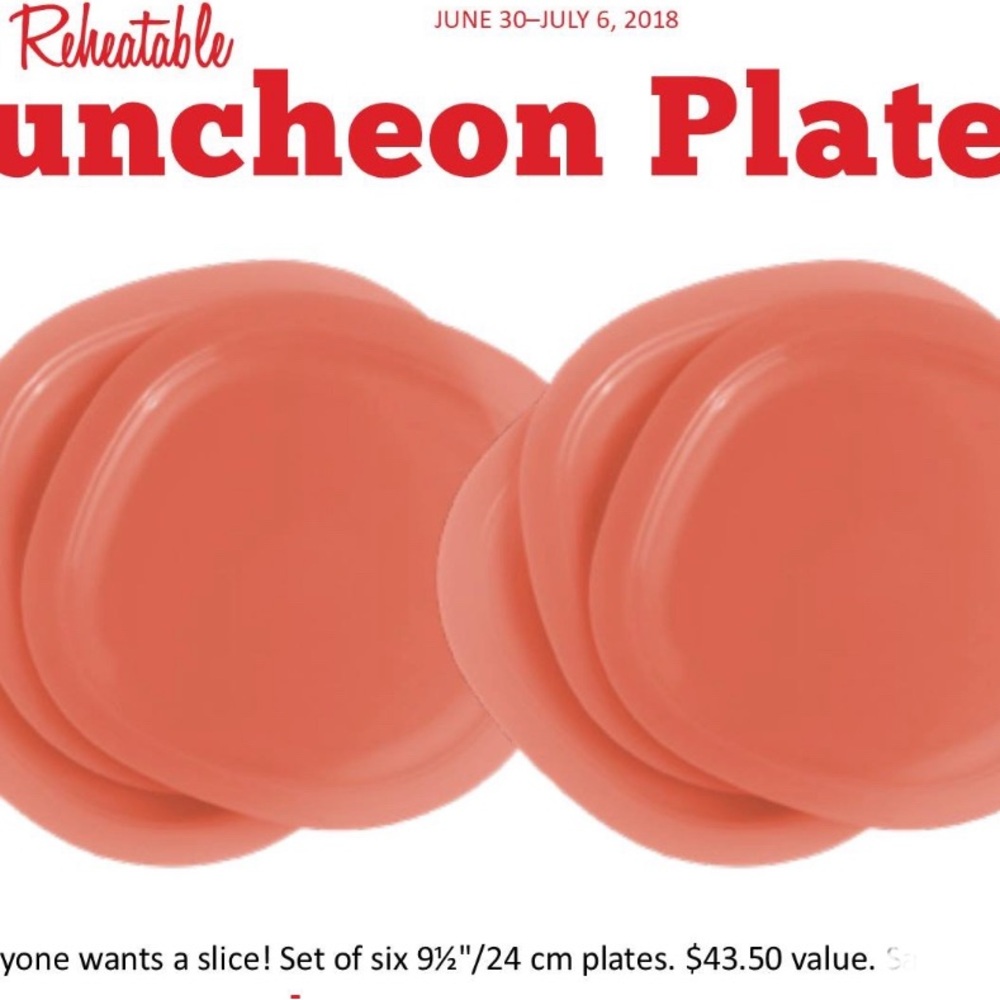 Reheatable Coral Luncheon Plates - Set of 6